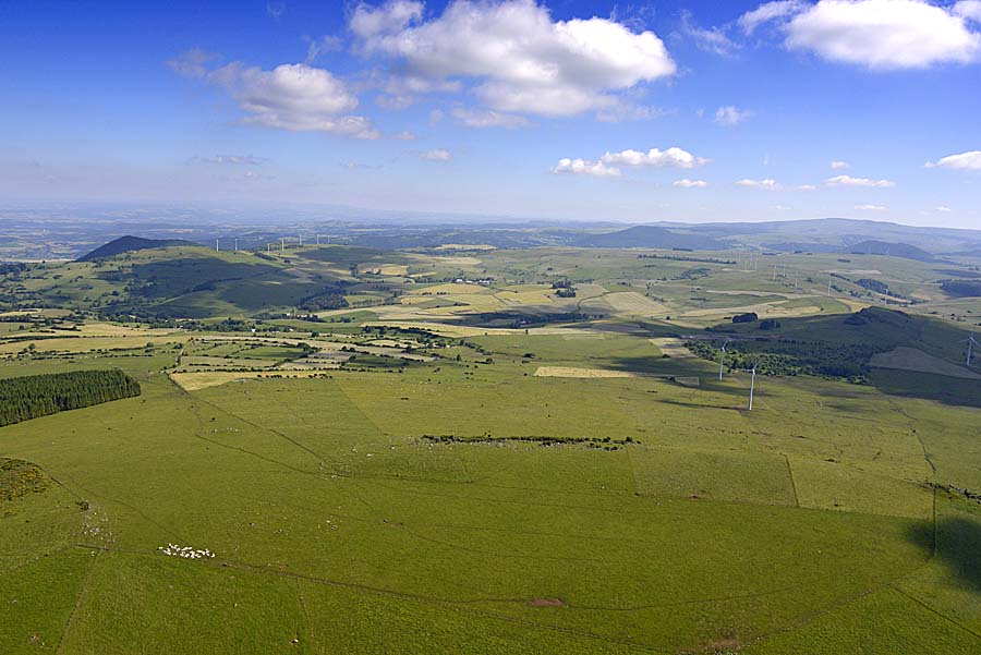 63agriculture-auvergne-10-0618