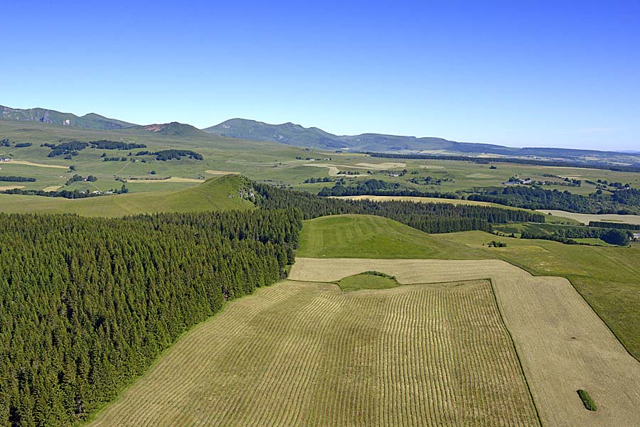 63agriculture-auvergne-12-0618