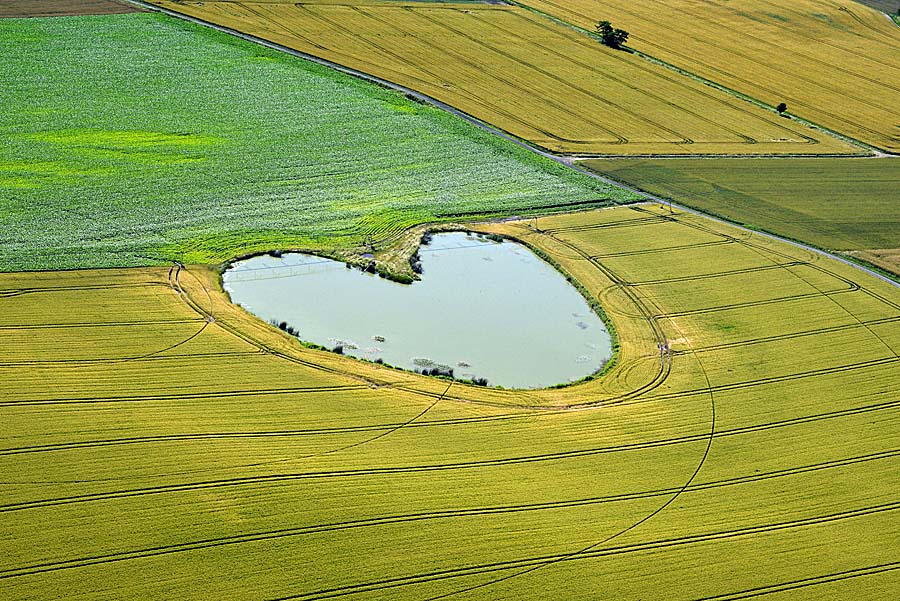 63agriculture-auvergne-3-0618