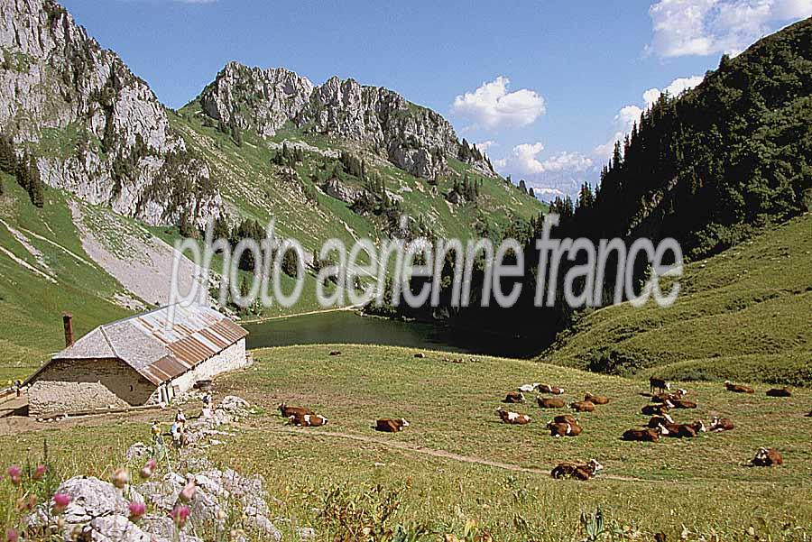 00alpes-paysage-3-e