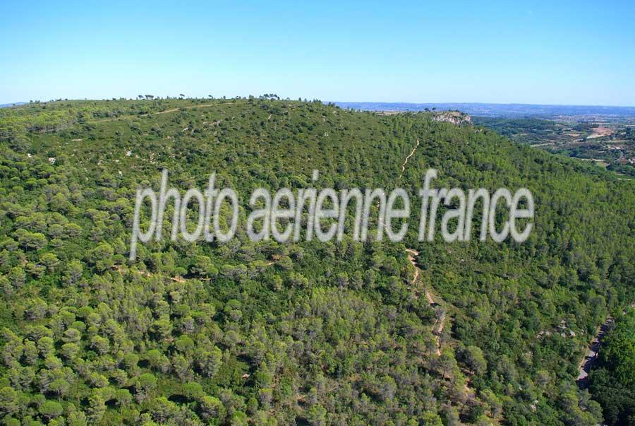 00foret-languedoc-11-0806