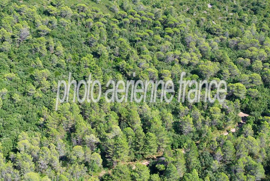 00foret-languedoc-14-0806