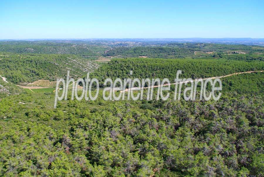 00foret-languedoc-2-0806