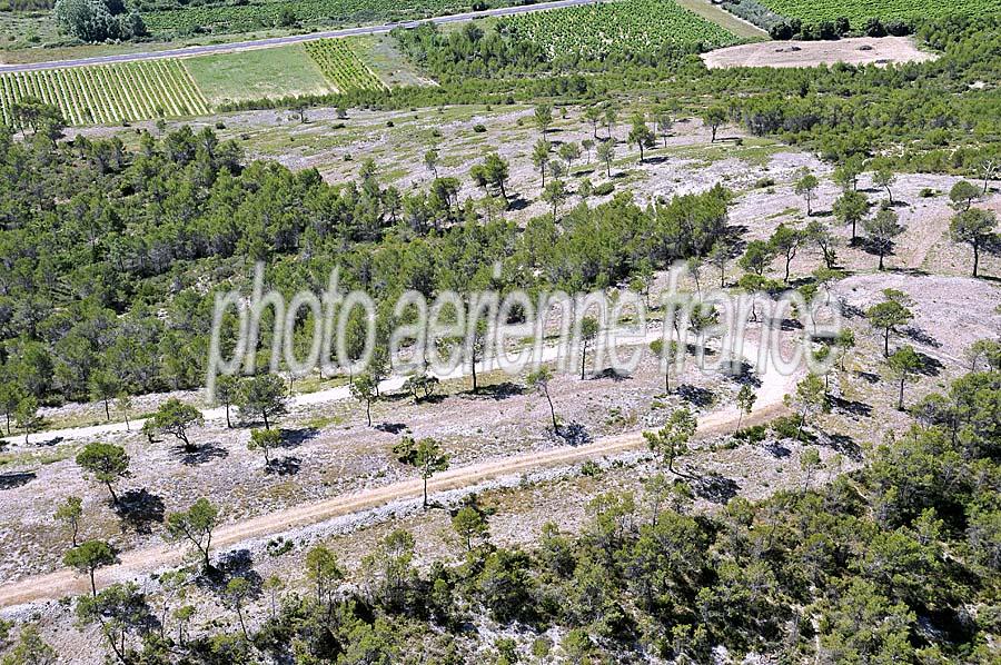 00foret-languedoc-4-0708