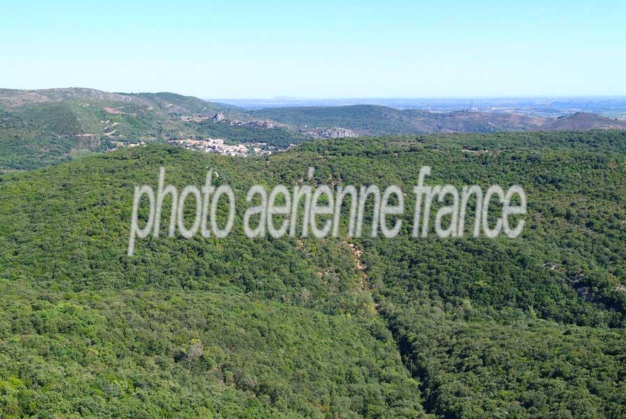 00foret-languedoc-5-0806