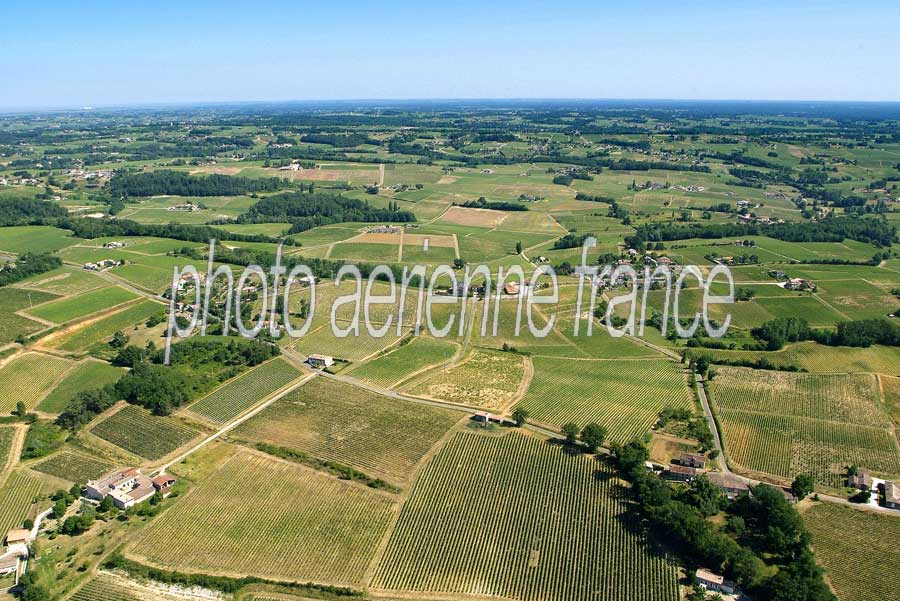 00vigne-bordelais-14-0605