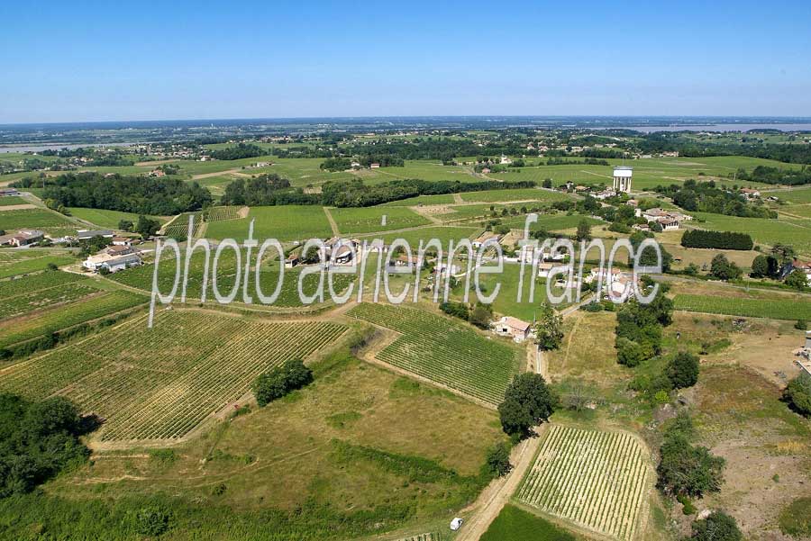 00vigne-bordelais-16-0605