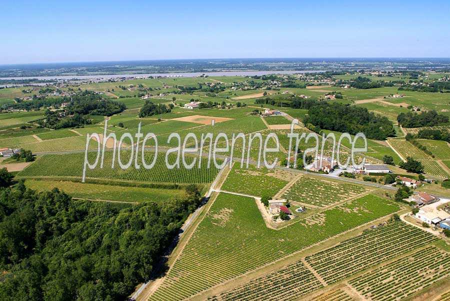 00vigne-bordelais-17-0605