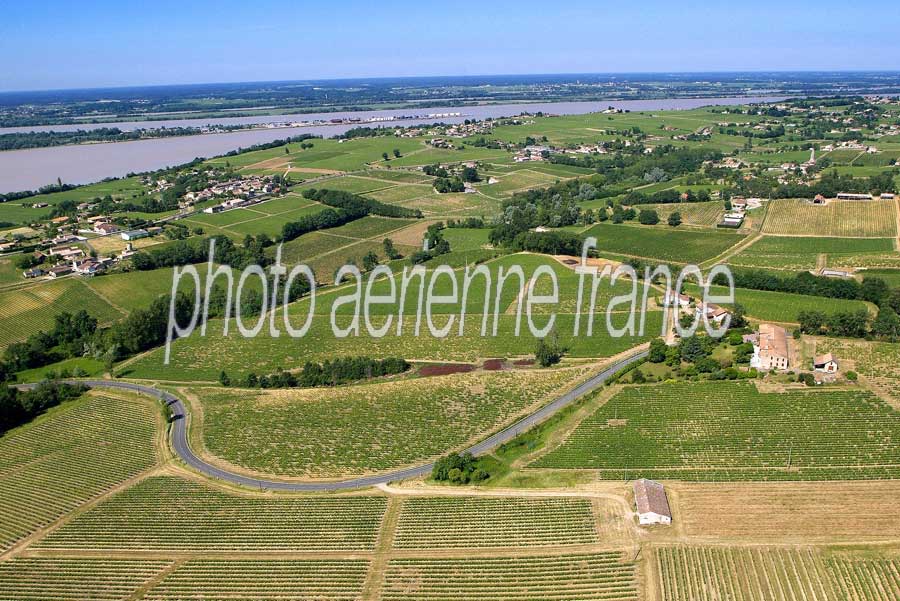 00vigne-bordelais-19-0605