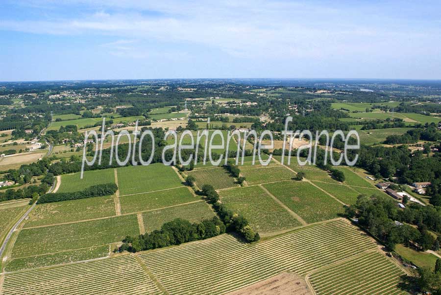 00vigne-bordelais-20-0605