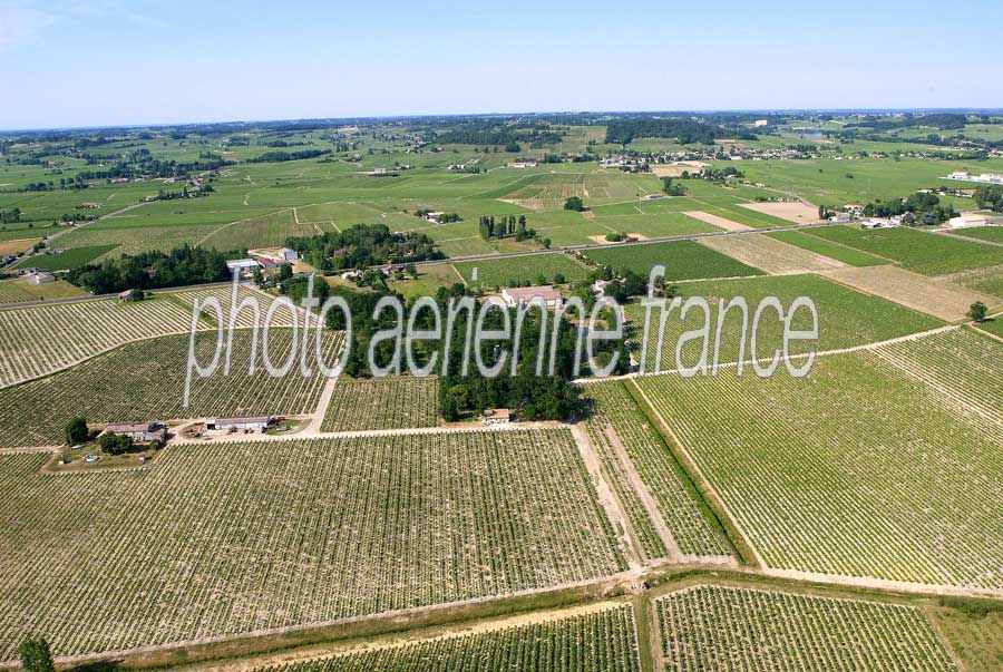 00vigne-bordelais-29-0605