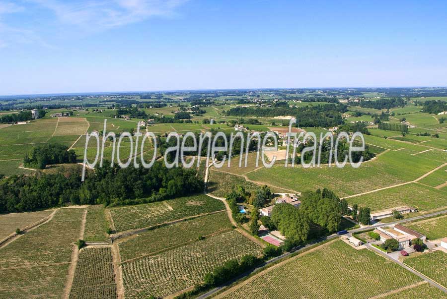 00vigne-bordelais-34-0605