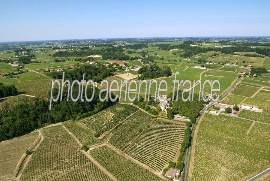 00vigne-bordelais-35-0605