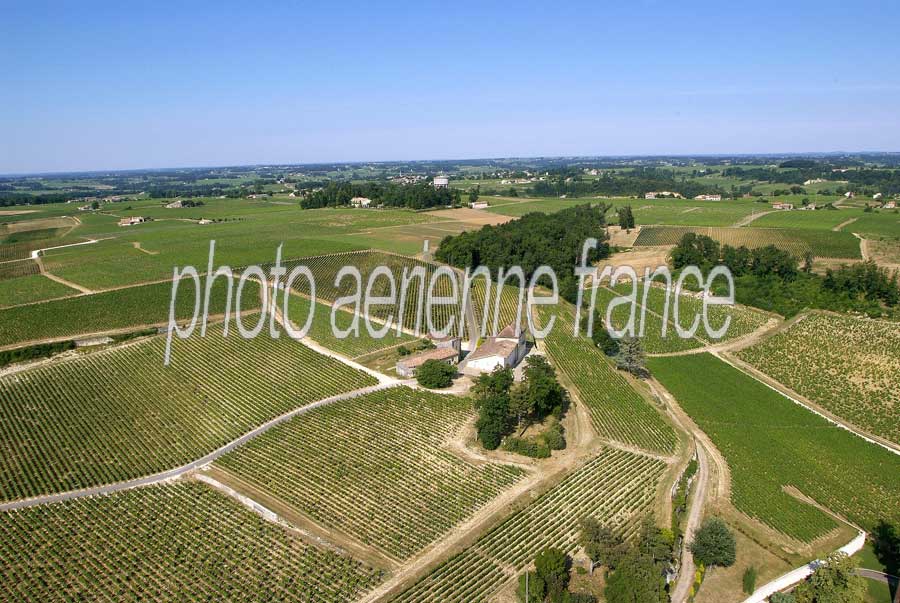 00vigne-bordelais-36-0605