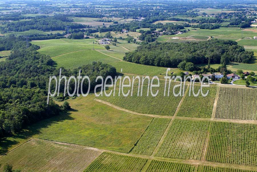 00vigne-bordelais-40-0605