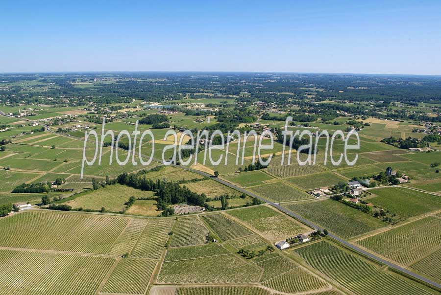 00vigne-bordelais-5-0605