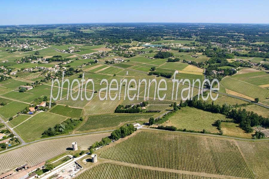 00vigne-bordelais-6-0605