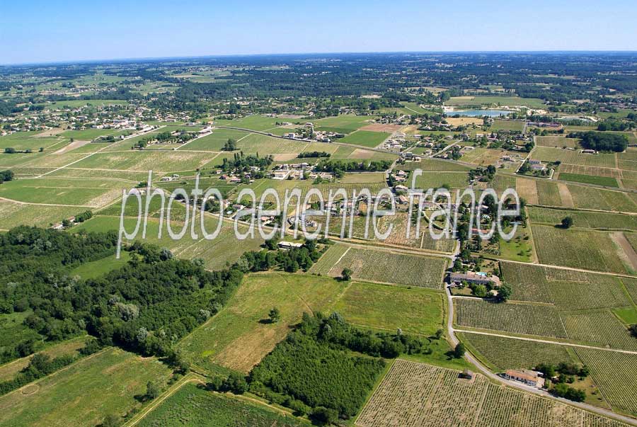 00vigne-bordelais-8-0605