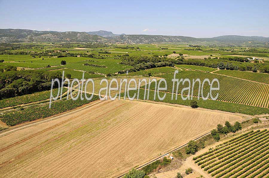 00vigne-languedoc-11-0708