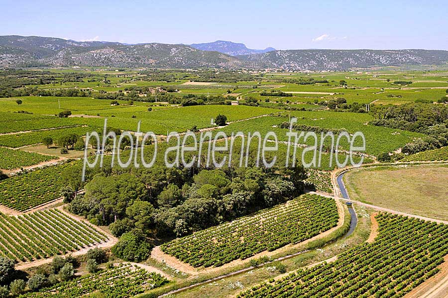 00vigne-languedoc-12-0708