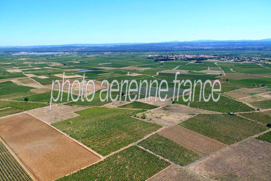 00vigne-languedoc-13-0806