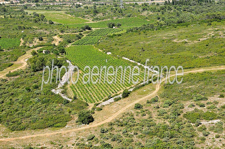 00vigne-languedoc-18-0708