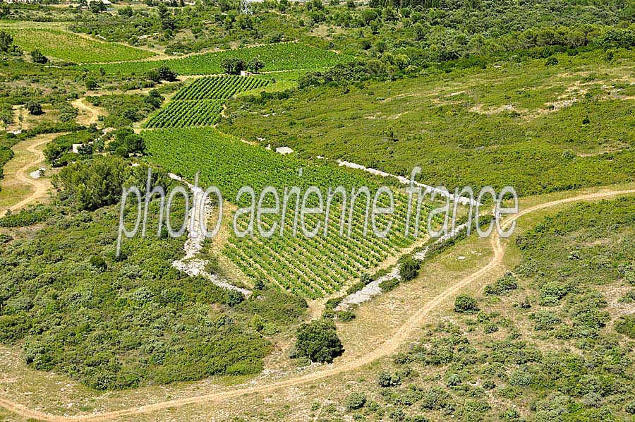 00vigne-languedoc-3-0708