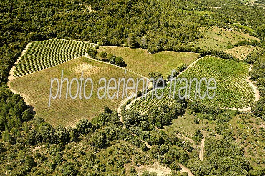 00vigne-languedoc-8-0708